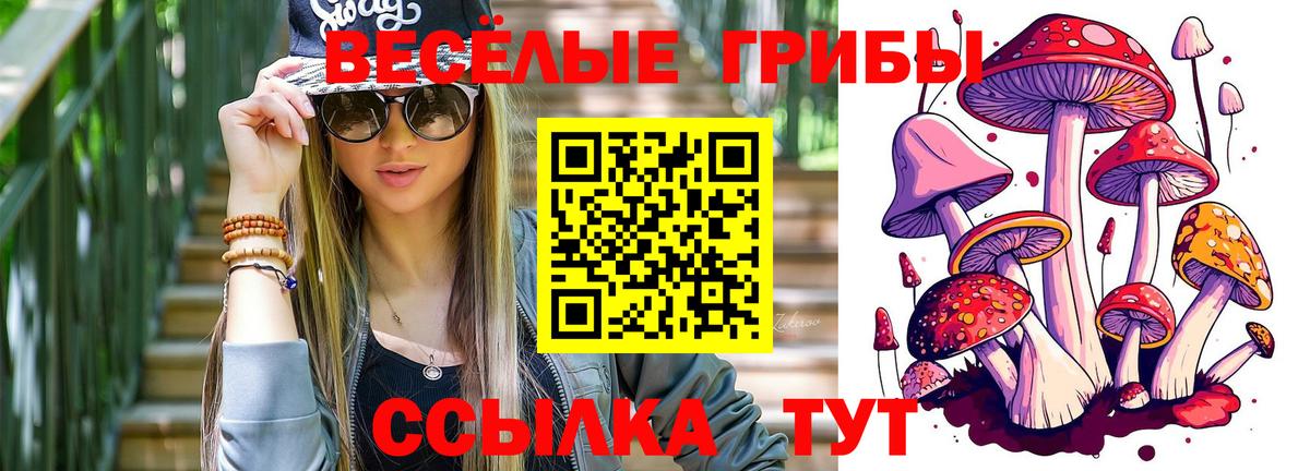 Псилоцибиновые грибы прущие грибы  Вход с VPN  Холмск  Псилоцибиновые грибы мицелий 